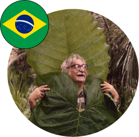 Burle Marx